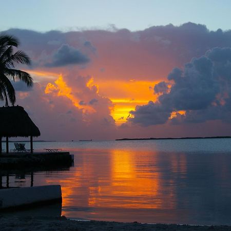Rock Reef Resort Кі-Ларго Екстер'єр фото
